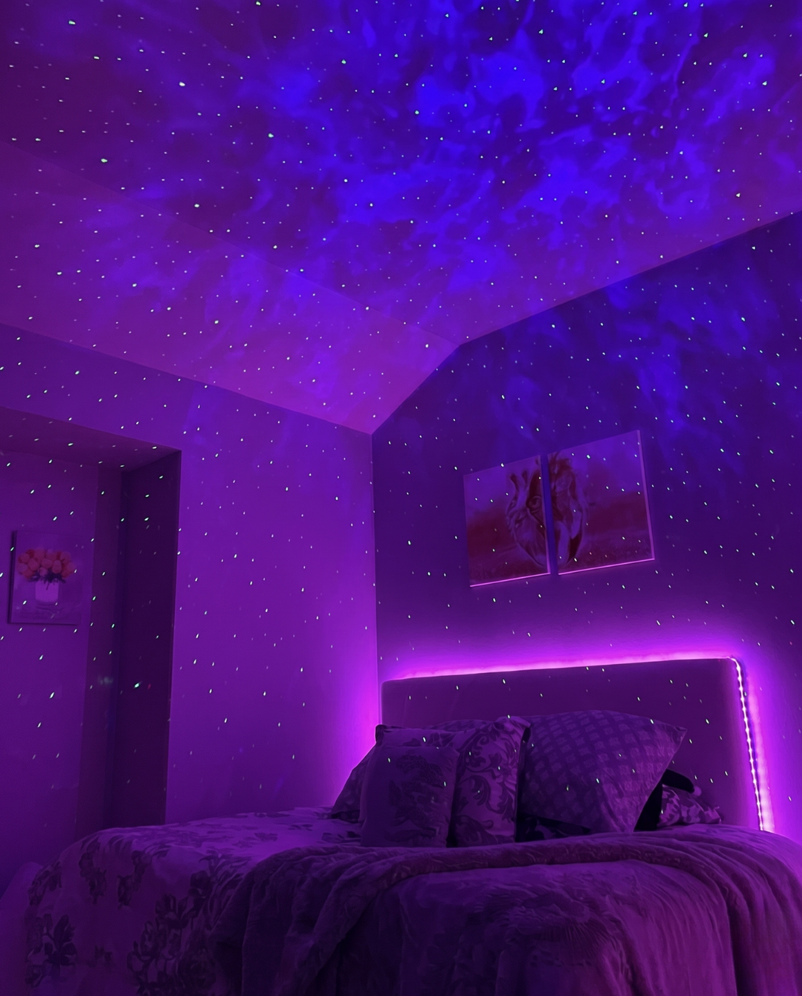 LighUp Gökyüzü Galaxy Projektörü Örnek Foto#3